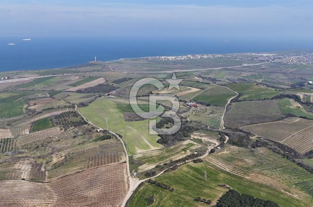 Lapseki Kocavelide Köprü Manzaralı, 24.000 m2 Satılık Tarla