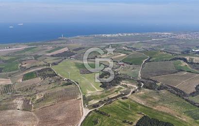 Lapseki Kocavelide Köprü Manzaralı, 24.000 m2 Satılık Tarla