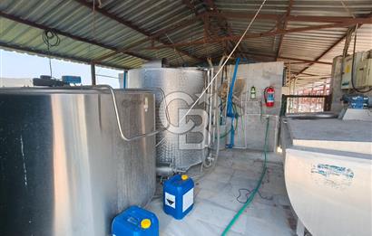 COLDWELL BANKER POYRAZ'DAN FIRSAT FİYATINA ACİL SATILIK ÇİFTLİK