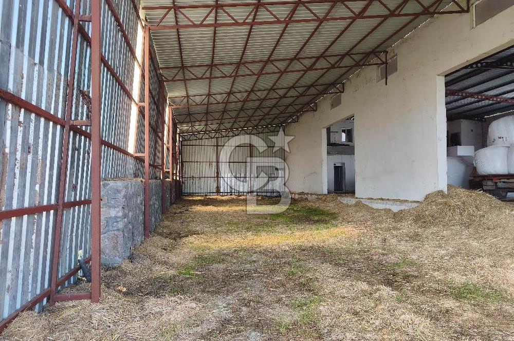 COLDWELL BANKER POYRAZ'DAN FIRSAT FİYATINA ACİL SATILIK ÇİFTLİK