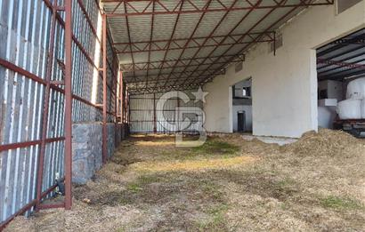 COLDWELL BANKER POYRAZ'DAN FIRSAT FİYATINA ACİL SATILIK ÇİFTLİK