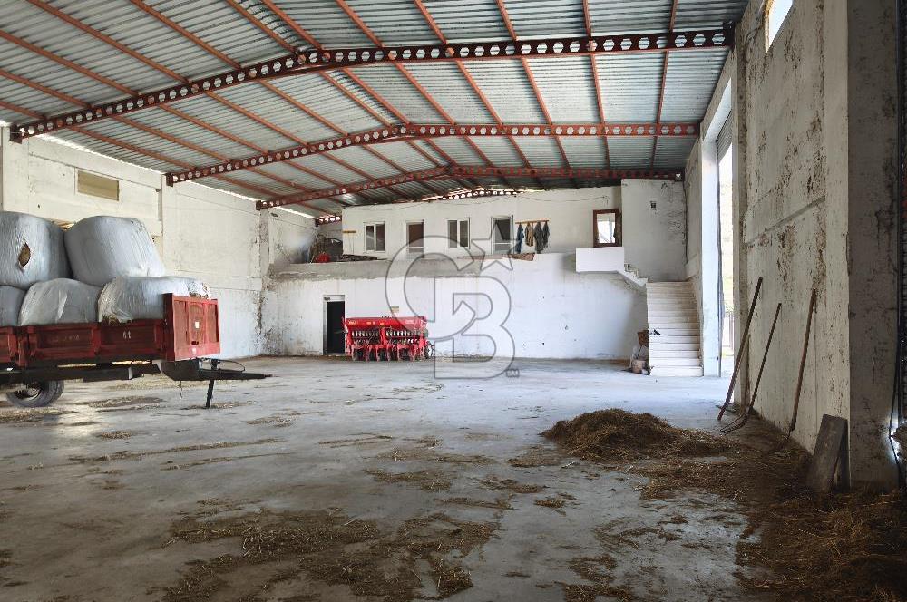 COLDWELL BANKER POYRAZ'DAN FIRSAT FİYATINA ACİL SATILIK ÇİFTLİK