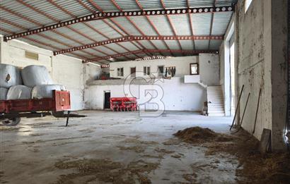 COLDWELL BANKER POYRAZ'DAN FIRSAT FİYATINA ACİL SATILIK ÇİFTLİK