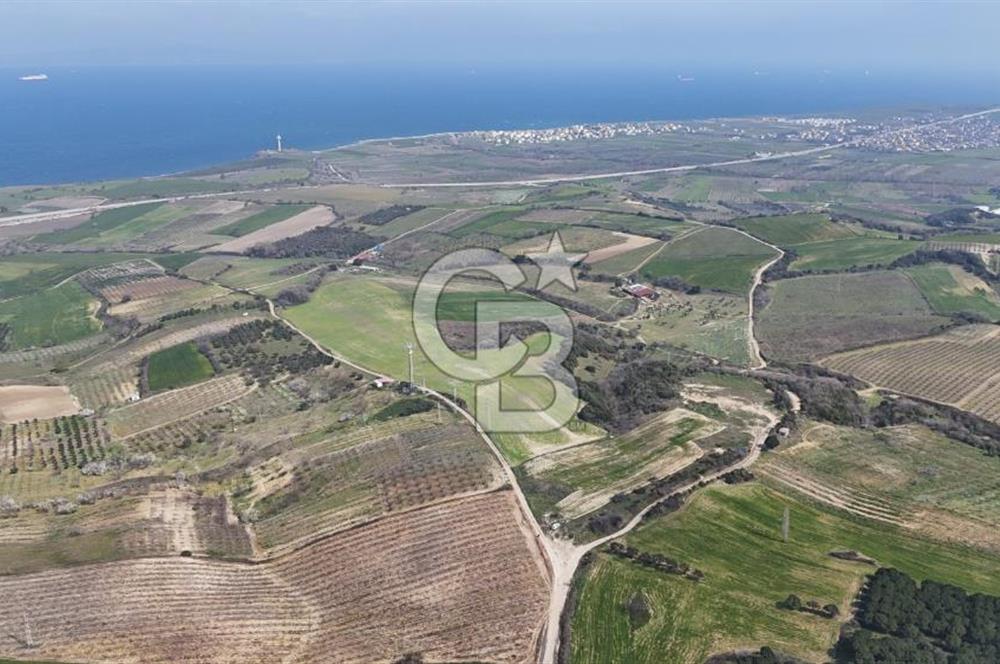 Lapseki Kocavelide Köprü Manzaralı, 24.000 m2 Satılık Tarla