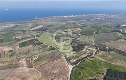 Lapseki Kocavelide Köprü Manzaralı, 24.000 m2 Satılık Tarla