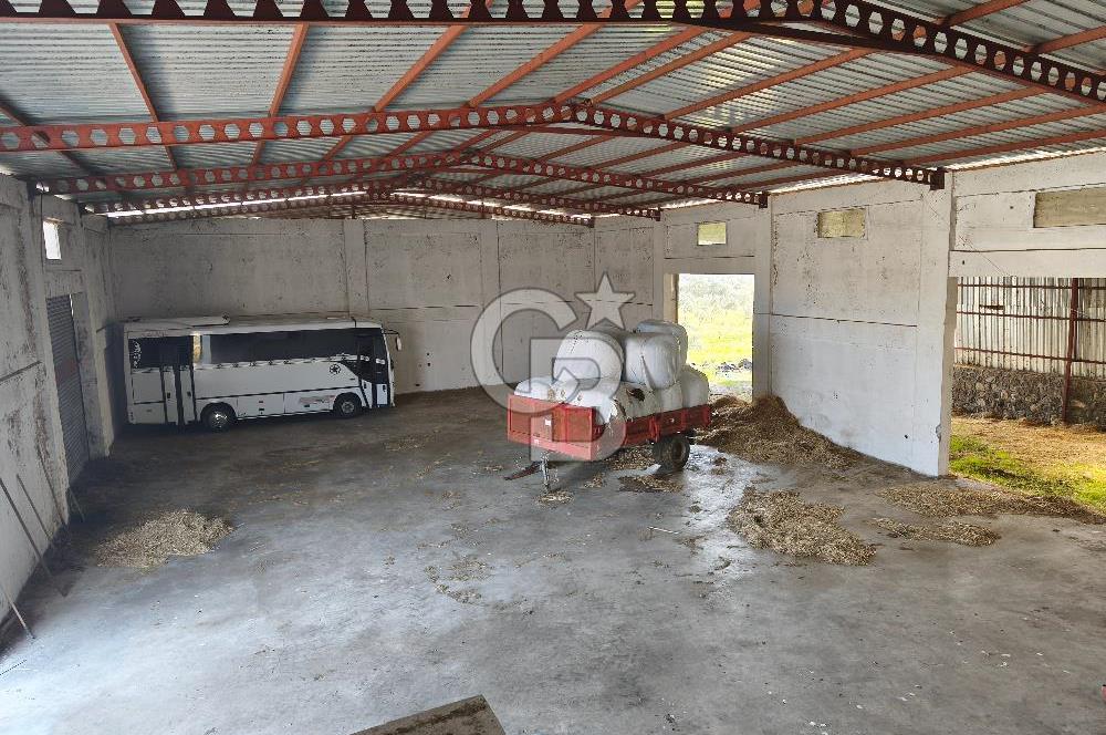 COLDWELL BANKER POYRAZ'DAN FIRSAT FİYATINA ACİL SATILIK ÇİFTLİK