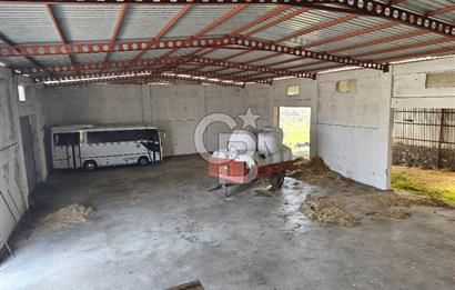 COLDWELL BANKER POYRAZ'DAN FIRSAT FİYATINA ACİL SATILIK ÇİFTLİK