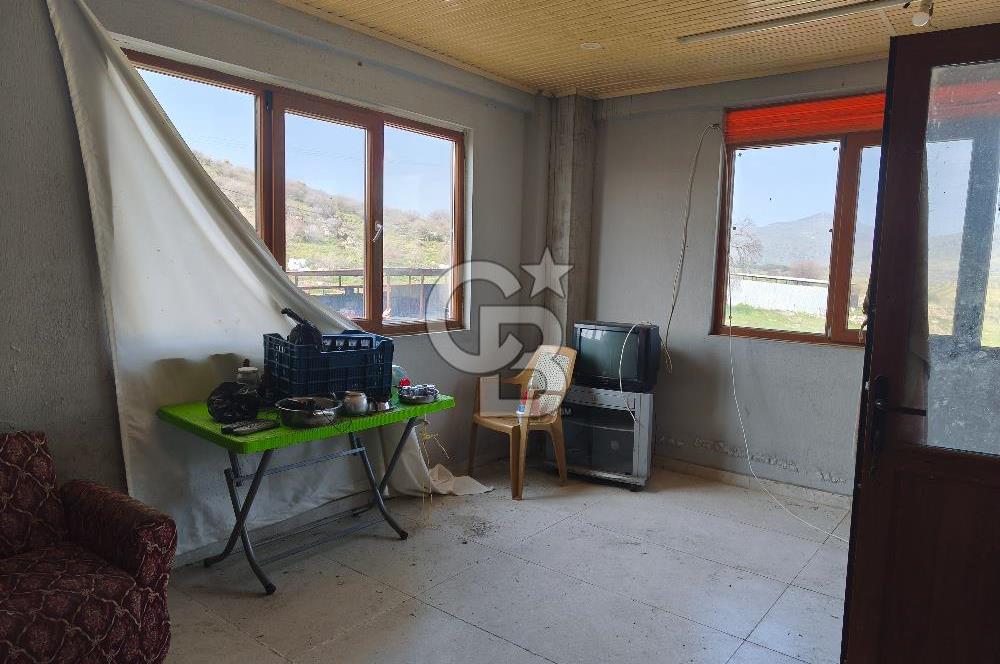 COLDWELL BANKER POYRAZ'DAN FIRSAT FİYATINA ACİL SATILIK ÇİFTLİK