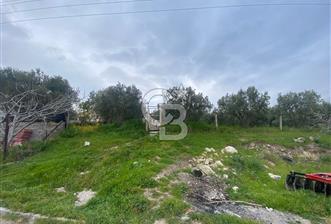 ŞEHZADELER KIRANÇİFTLİK'DE MÜSTAKİL YAŞAM - 1 - 339750