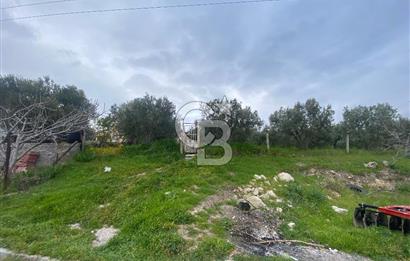 ŞEHZADELER KIRANÇİFTLİK'DE MÜSTAKİL YAŞAM