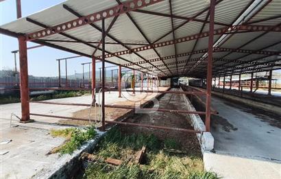 COLDWELL BANKER POYRAZ'DAN FIRSAT FİYATINA ACİL SATILIK ÇİFTLİK