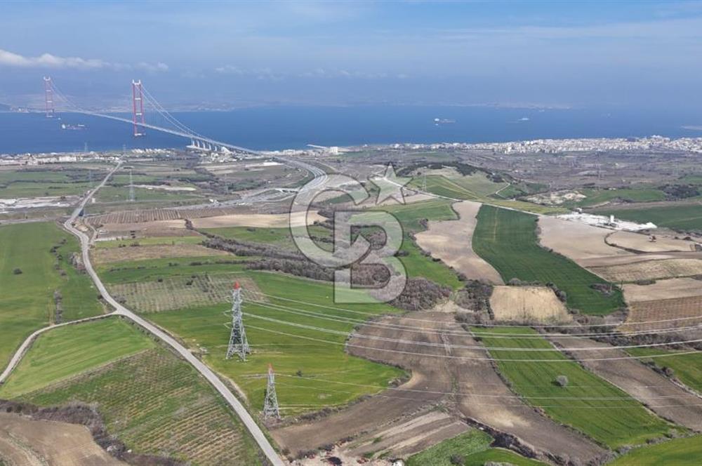 Lapseki Kocavelide Köprü Manzaralı, 24.000 m2 Satılık Tarla
