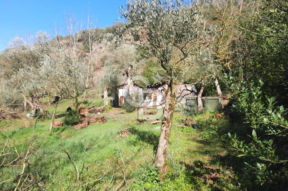 Karamursel tepekoy gokcedere satilik tarla