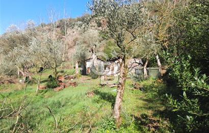 Karamursel tepekoy gokcedere satilik tarla