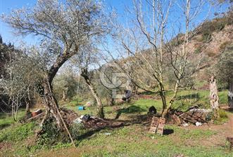 Karamursel tepekoy gokcedere satilik tarla - 1 - 339761