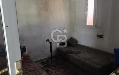 COLDWELL BANKER POYRAZ'DAN FIRSAT FİYATINA ACİL SATILIK ÇİFTLİK