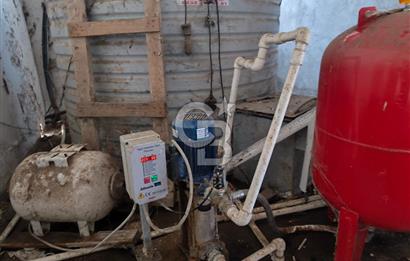 COLDWELL BANKER POYRAZ'DAN FIRSAT FİYATINA ACİL SATILIK ÇİFTLİK