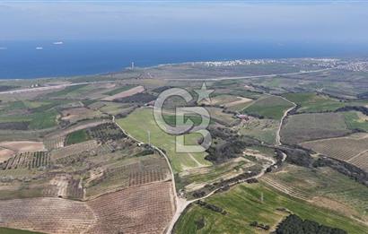Lapseki Kocavelide Köprü Manzaralı, 24.000 m2 Satılık Tarla