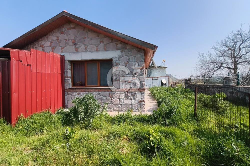 COLDWELL BANKER POYRAZ'DAN FIRSAT FİYATINA ACİL SATILIK ÇİFTLİK