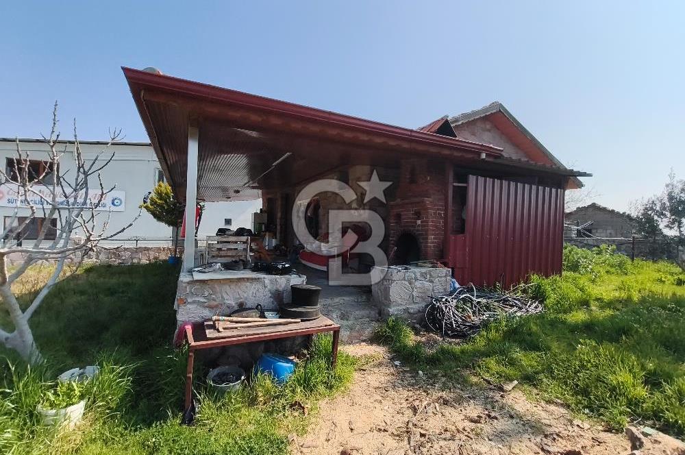 COLDWELL BANKER POYRAZ'DAN FIRSAT FİYATINA ACİL SATILIK ÇİFTLİK