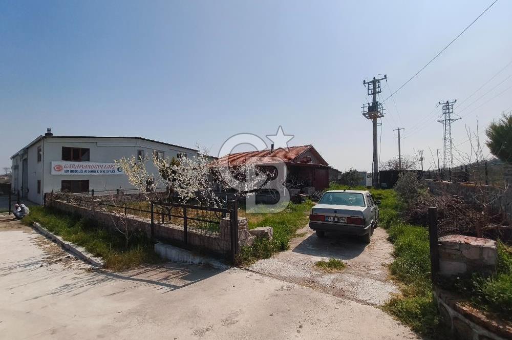 COLDWELL BANKER POYRAZ'DAN FIRSAT FİYATINA ACİL SATILIK ÇİFTLİK