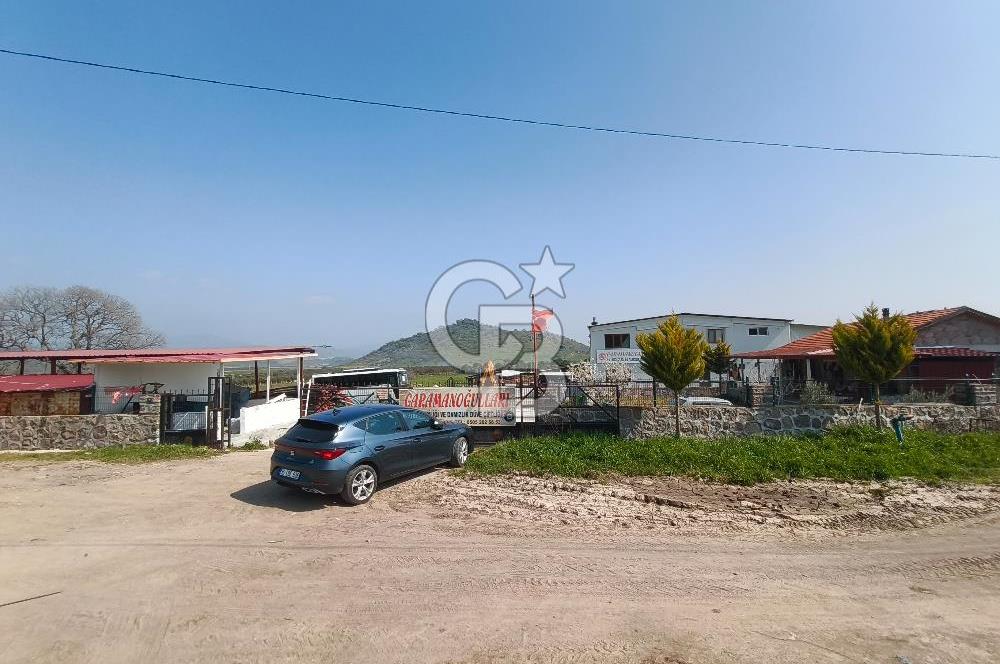 COLDWELL BANKER POYRAZ'DAN FIRSAT FİYATINA ACİL SATILIK ÇİFTLİK