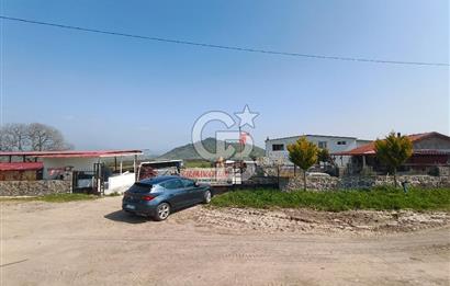 COLDWELL BANKER POYRAZ'DAN FIRSAT FİYATINA ACİL SATILIK ÇİFTLİK