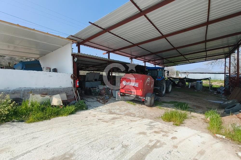 COLDWELL BANKER POYRAZ'DAN FIRSAT FİYATINA ACİL SATILIK ÇİFTLİK