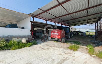 COLDWELL BANKER POYRAZ'DAN FIRSAT FİYATINA ACİL SATILIK ÇİFTLİK