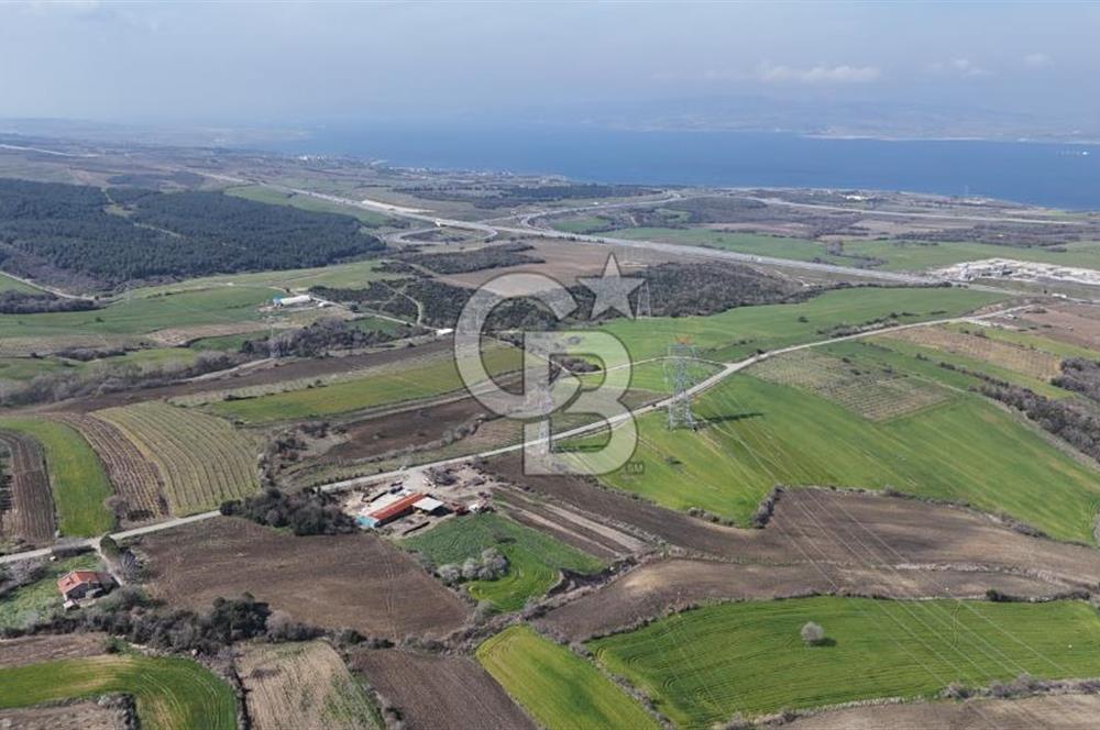 Lapseki Kocavelide Köprü Manzaralı, 24.000 m2 Satılık Tarla