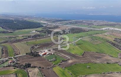 Lapseki Kocavelide Köprü Manzaralı, 24.000 m2 Satılık Tarla