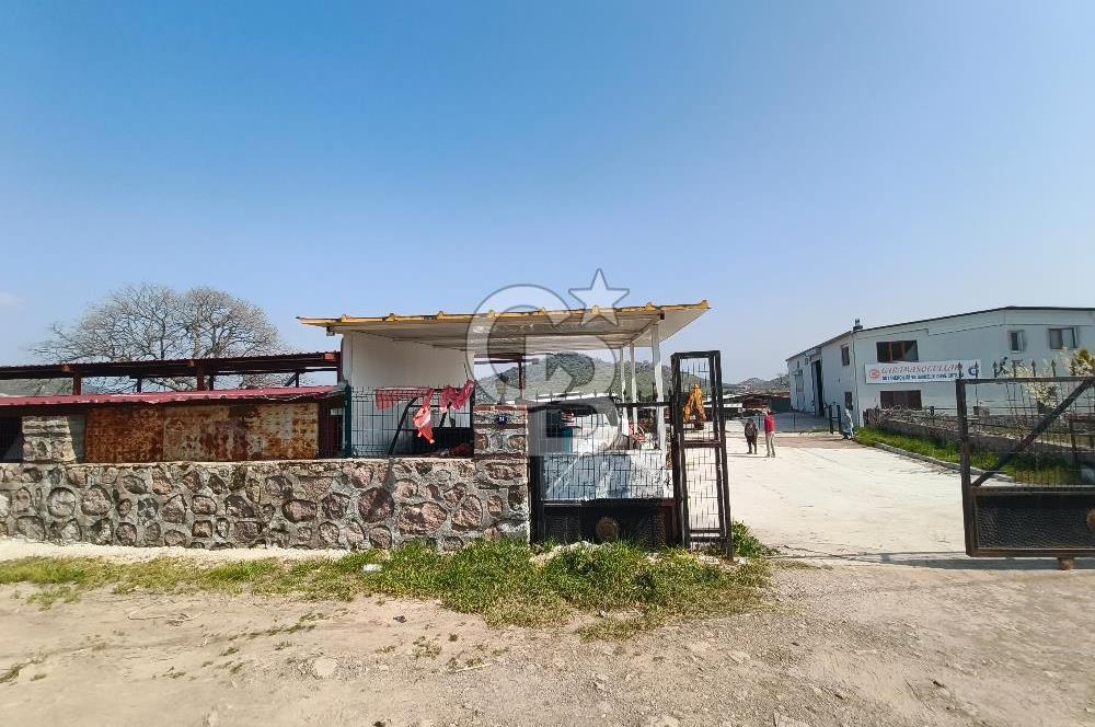 COLDWELL BANKER POYRAZ'DAN FIRSAT FİYATINA ACİL SATILIK ÇİFTLİK