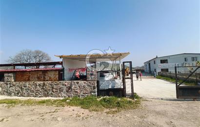 COLDWELL BANKER POYRAZ'DAN FIRSAT FİYATINA ACİL SATILIK ÇİFTLİK