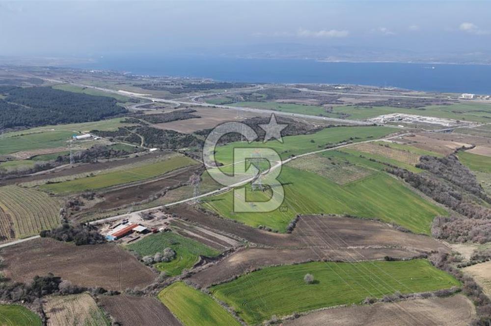 Lapseki Kocavelide Köprü Manzaralı, 24.000 m2 Satılık Tarla