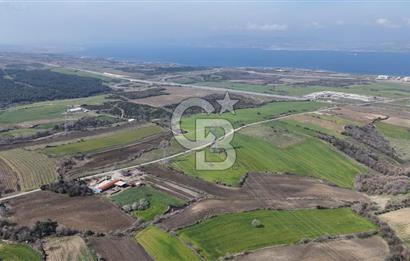 Lapseki Kocavelide Köprü Manzaralı, 24.000 m2 Satılık Tarla