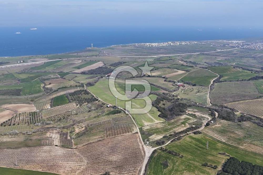 Lapseki Kocavelide Köprü Manzaralı, 24.000 m2 Satılık Tarla
