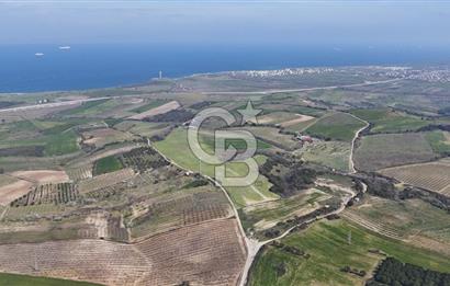 Lapseki Kocavelide Köprü Manzaralı, 24.000 m2 Satılık Tarla
