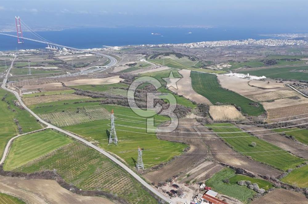 Lapseki Kocavelide Köprü Manzaralı, 24.000 m2 Satılık Tarla