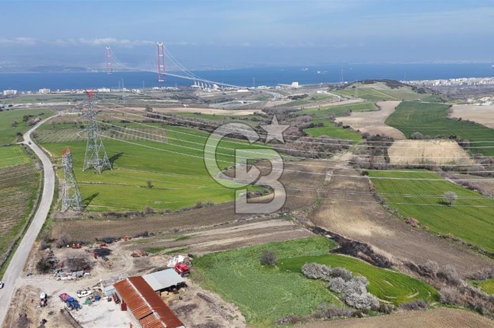 Lapseki Kocavelide Köprü Manzaralı, 24.000 m2 Satılık Tarla