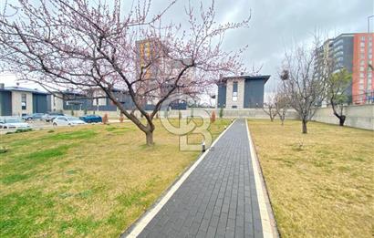 Yeni Bağlıca'da Giriş Kat 3+1 Satılık Site Dairesi