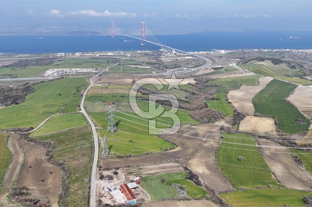 Lapseki Kocavelide Köprü Manzaralı, 24.000 m2 Satılık Tarla