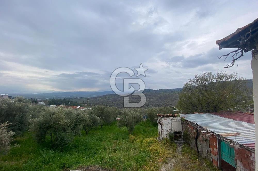 ŞEHZADELER KIRANÇİFTLİK'DE MÜSTAKİL YAŞAM