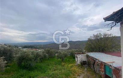 ŞEHZADELER KIRANÇİFTLİK'DE MÜSTAKİL YAŞAM