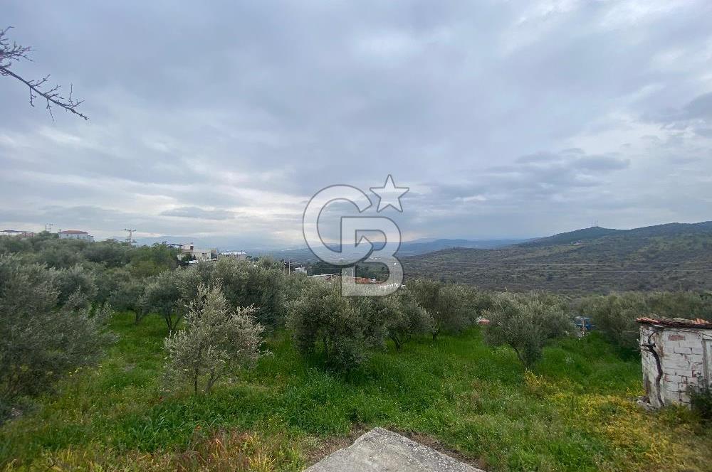 ŞEHZADELER KIRANÇİFTLİK'DE MÜSTAKİL YAŞAM