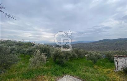 ŞEHZADELER KIRANÇİFTLİK'DE MÜSTAKİL YAŞAM