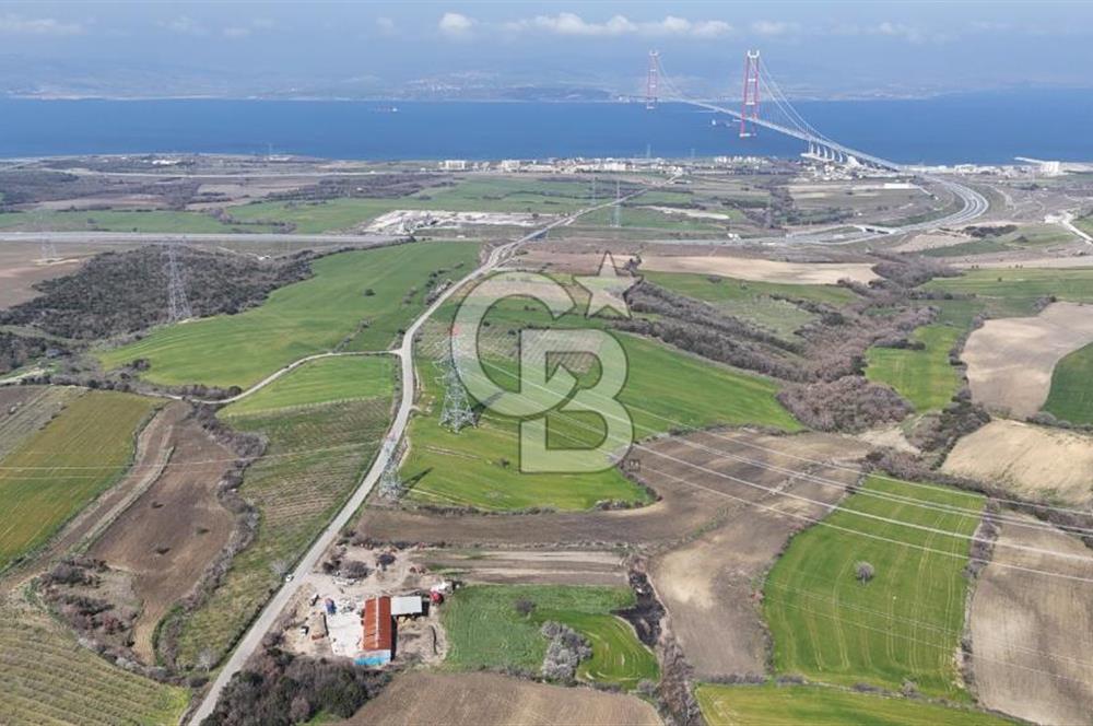 Lapseki Kocavelide Köprü Manzaralı, 24.000 m2 Satılık Tarla