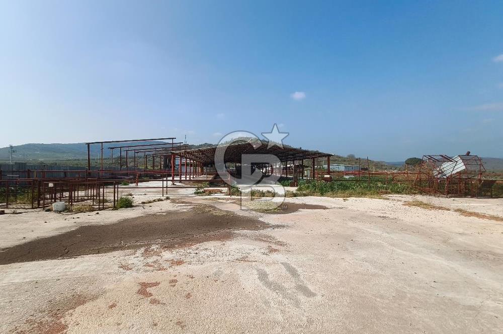 COLDWELL BANKER POYRAZ'DAN FIRSAT FİYATINA ACİL SATILIK ÇİFTLİK