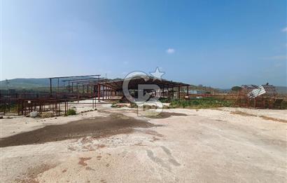 COLDWELL BANKER POYRAZ'DAN FIRSAT FİYATINA ACİL SATILIK ÇİFTLİK