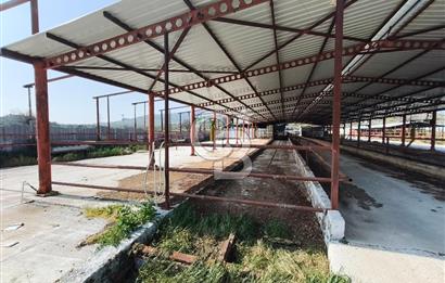 COLDWELL BANKER POYRAZ'DAN FIRSAT FİYATINA ACİL SATILIK ÇİFTLİK