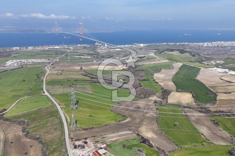 Lapseki Kocavelide Köprü Manzaralı, 24.000 m2 Satılık Tarla